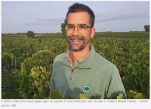 Les vendanges 2025 - le millésime 2025 précoce vu par David Pernet Oenologue Sovivins COnseils