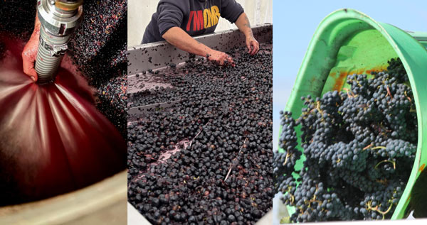 Offres d'emploi - Château Siaurac